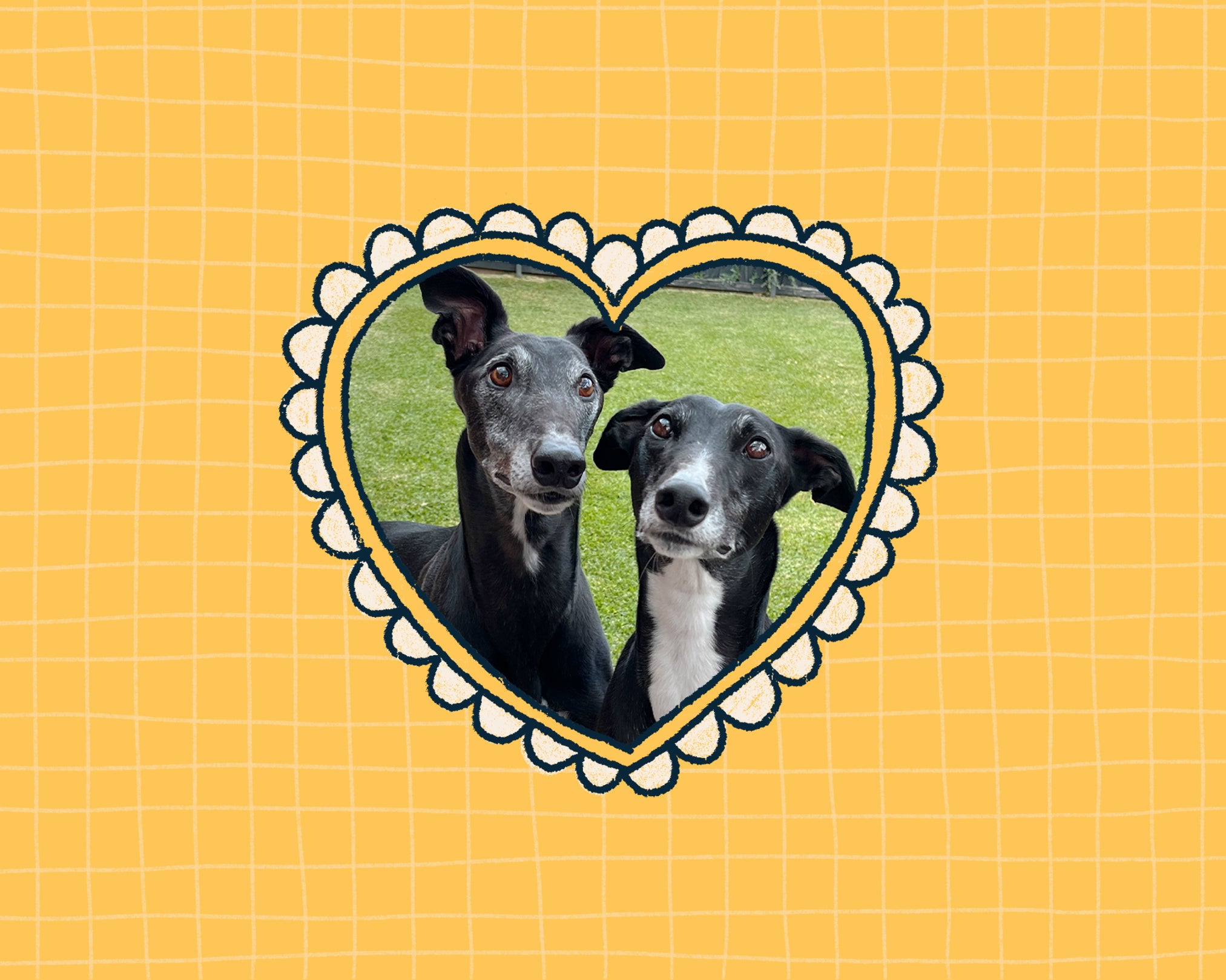 Two dogs in a heart-shaped frame on a yellow grid background