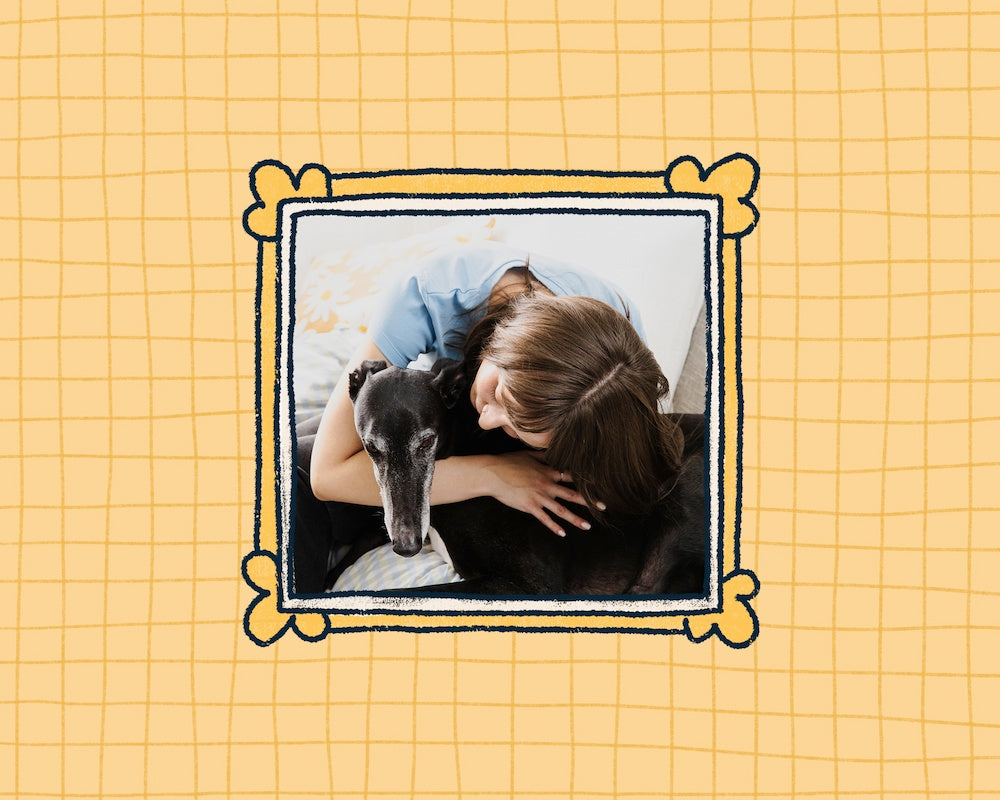 Kayley hugging Chilli the greyhound with a decorative frame on a yellow grid background