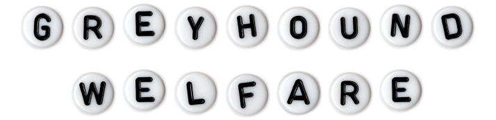 'GREYHOUND WELFARE' heading made out of bead lettering