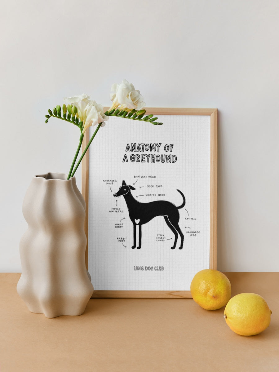 Long Dog Club greyhound print in an A4 wooden frame next to some lemons