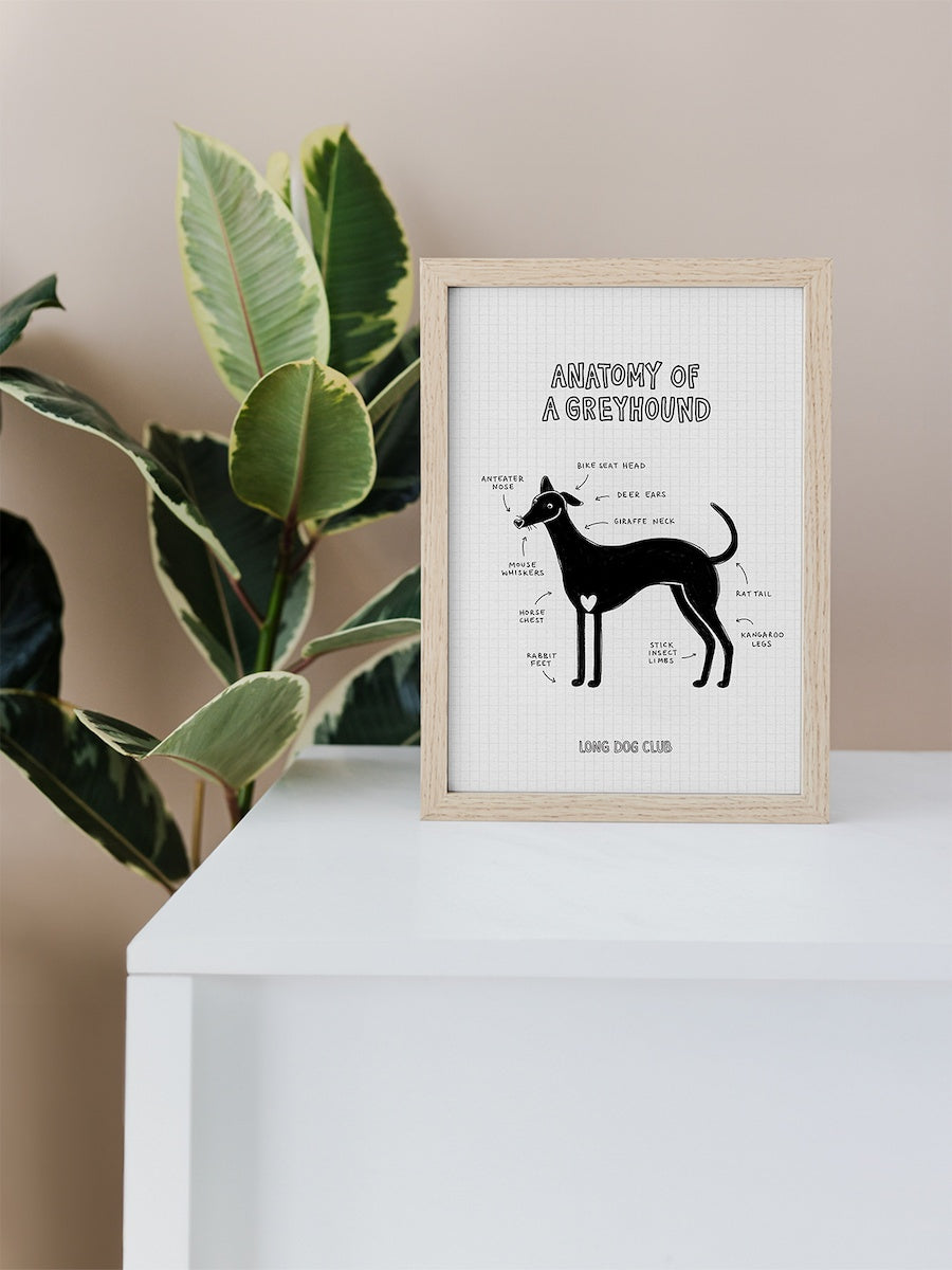 Framed art print of a greyhound sits on a cabinet, for people who love sighthounds