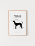 Artwork of a greyhound with a diagram describing their quirks, called ‘Anatomy of a Greyhound’