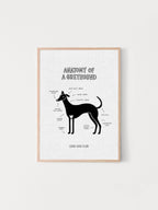 Artwork of a greyhound with a diagram describing their quirks, called ‘Anatomy of a Greyhound’