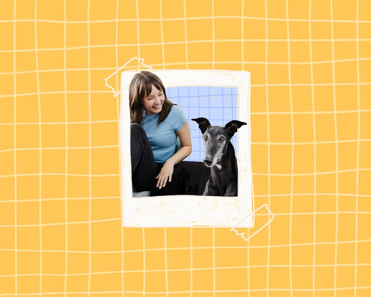A Polaroid-style photo print on a yellow grid background, showing a girl in a blue Tshirt sitting with her black dog. Kayley has her hand on Chilli and is smiling at him as he looks at the camera.