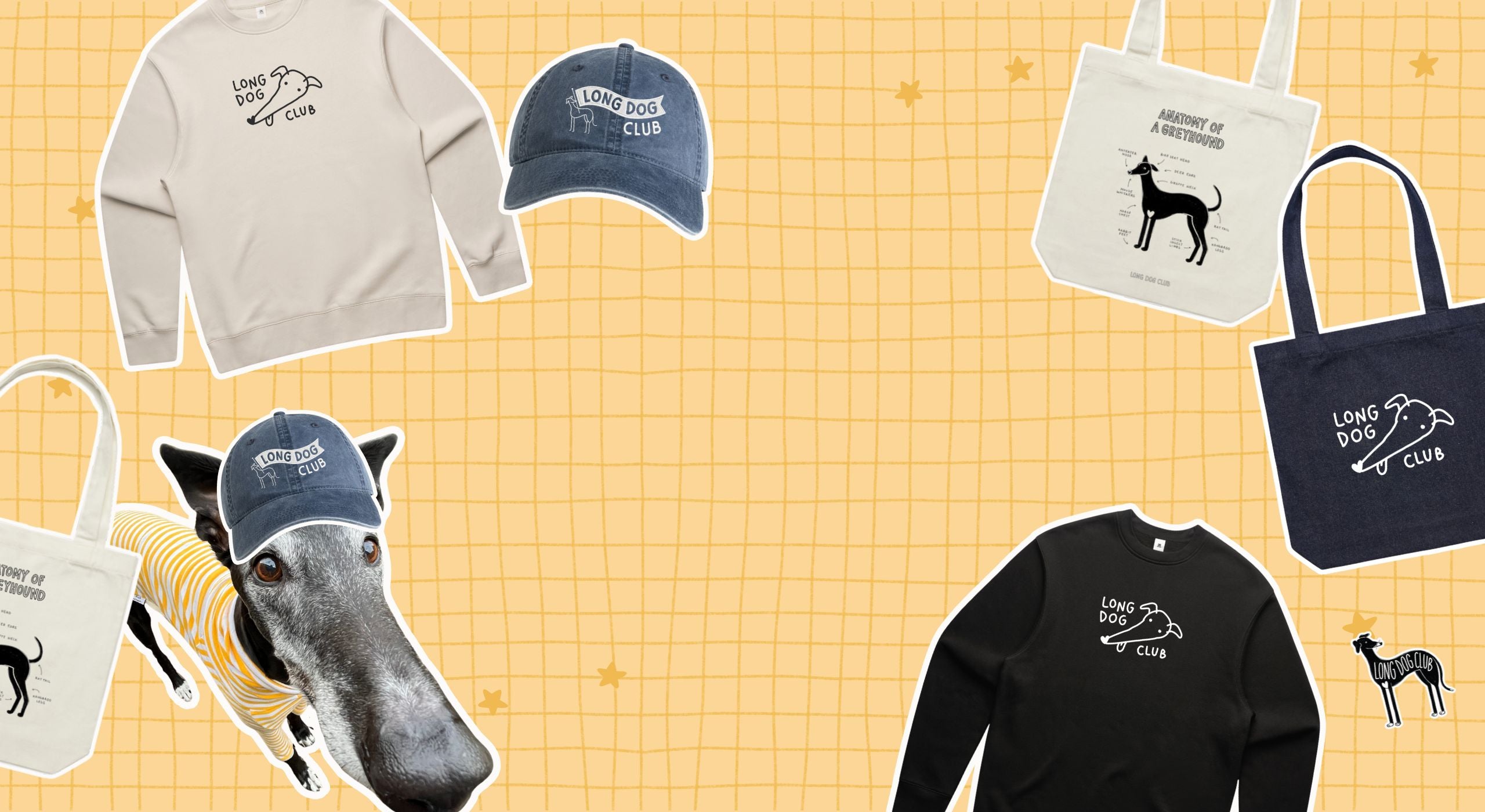 Dog wearing a yellow outfit with a cap and a beige Long Dog Club sweatshirt on a yellow grid background.