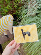 Postcard pack with 'Long Dog Club' branding held by a hand, with a dog and grass in the background.