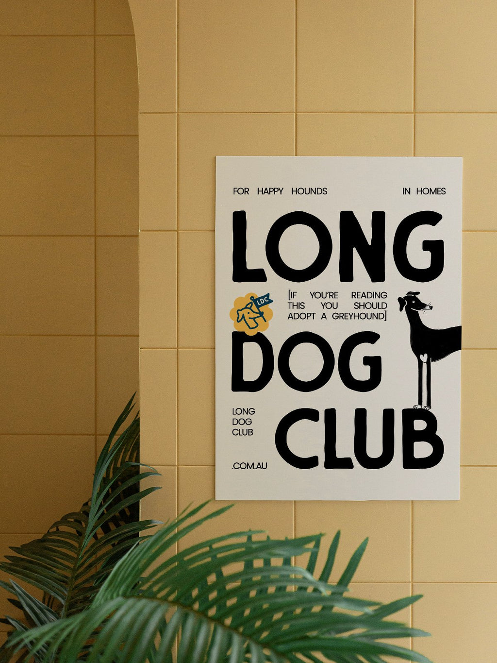 Poster for Long Dog Club on a yellow tiled wall with a plant in the foreground