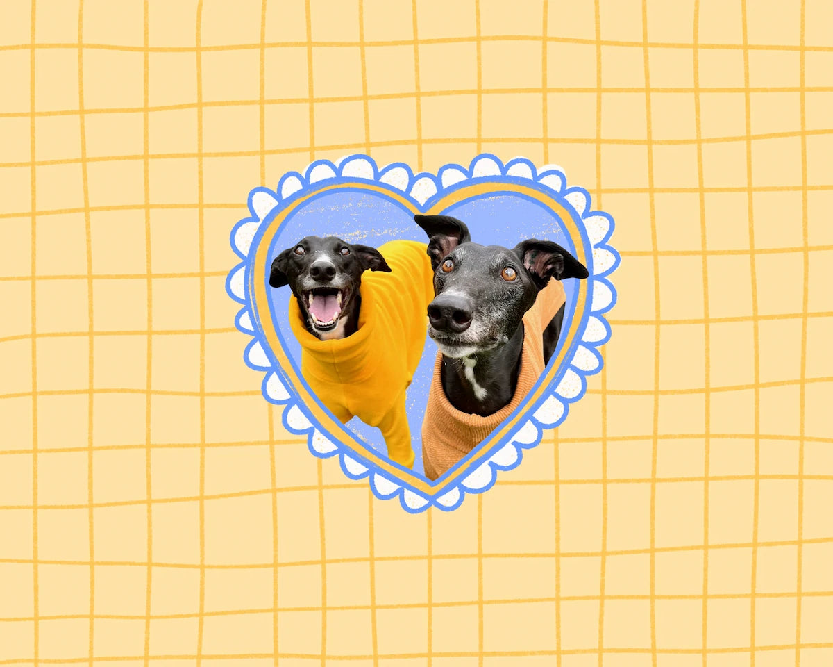 Two dogs framed inside a heart-shaped decorative border on a yellow grid background. They are both black greyhounds wearing orange sweaters.