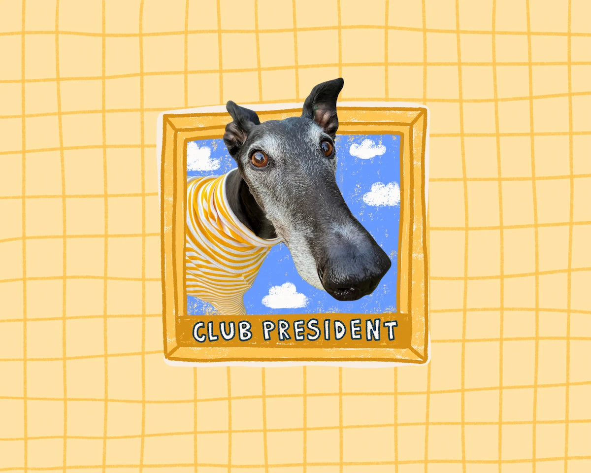 Illustrated portrait of a dog (Chilli the Greyhound) wearing a striped shirt, framed in gold with the text 'Club President' at the bottom, on a light blue grid pattern.