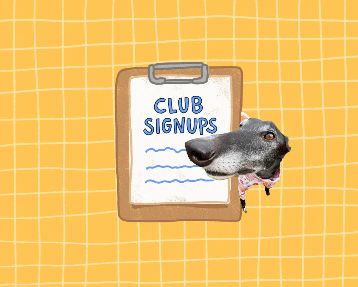 Illustration of a clipboard with the words 'Club Signups', with a dog's head peeking out from the right side against a yellow grid background.
