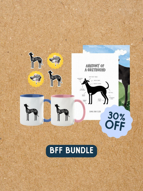 BFF BUNDLE
