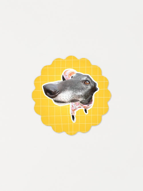 Greyhound sticker with a yellow scalloped border on a light gray background