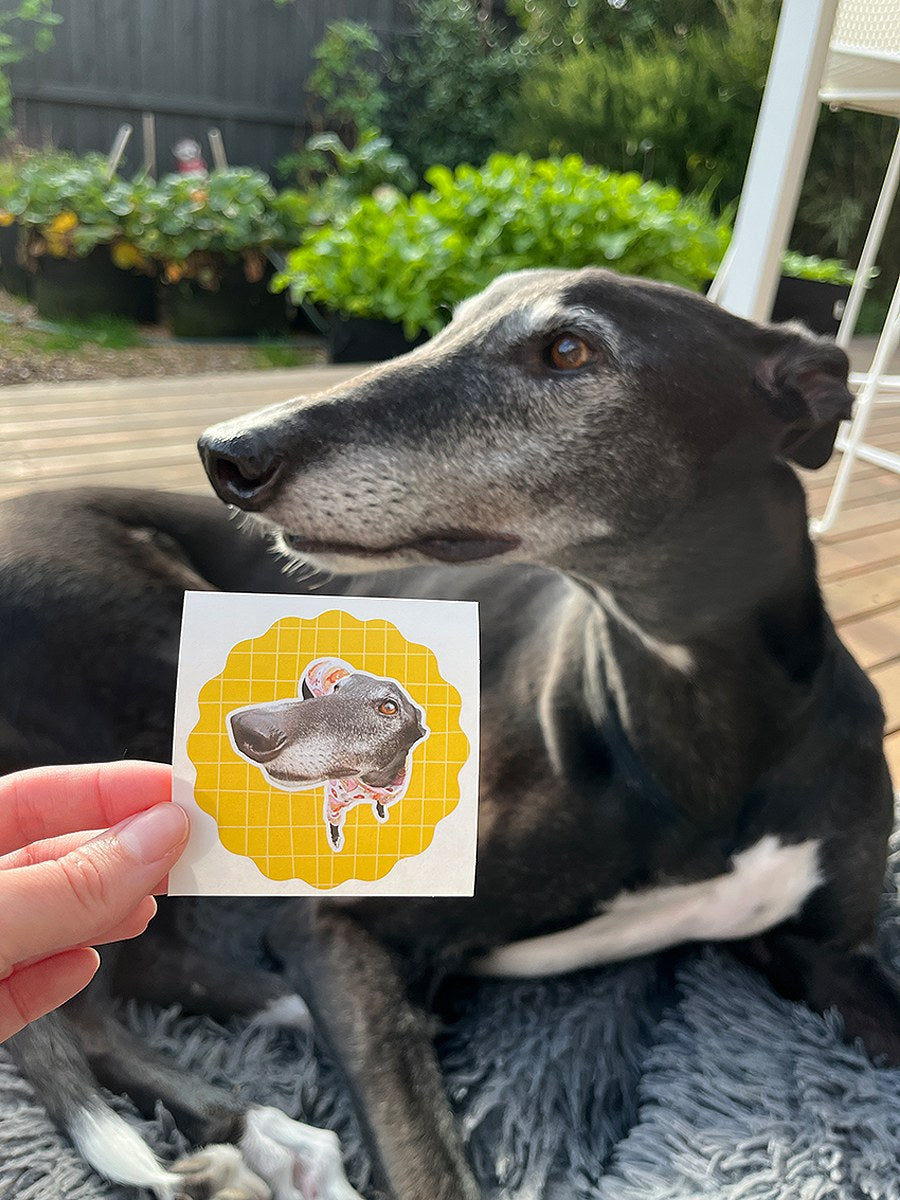 Dog sitting on a wooden deck with a person holding a sticker of the dog's face.