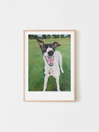 A framed custom pet portrait print of a white and black dog called Georgia the Greyhound standing on a green grassy field, displayed on a light grey wall. Painted by Elliott Fox for the Saint Grey art exhibition. 