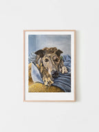 A framed art print featuring a detailed portrait of a greyhound dog called Hannah resting on blue blankets, displayed on a clean white wall. Painted by Elliott Fox and sold at Long Dog Club.