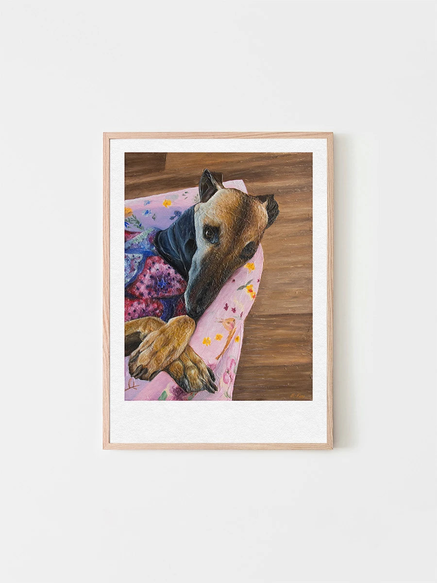 Portrait of Miss Poppy the Greyhound, a popular dog on social media as painted by Australian artist Elliott Fox. The painting is mostly pink and sits in a wooden frame.