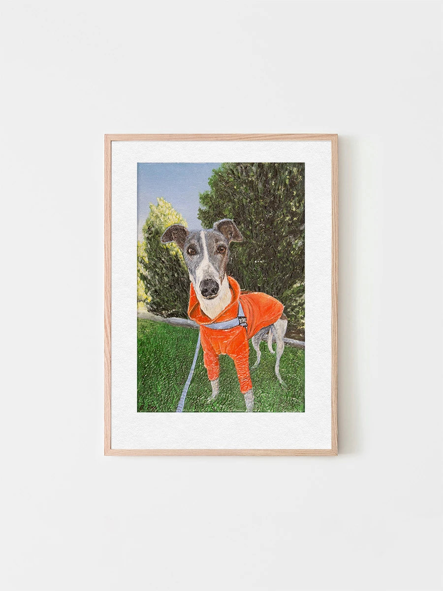 A framed art print of Bohemond the Greyhound who is wearing an orange hoodie, painted by Elliott Fox. Featured as part of the greyhound advocacy exhibition in Australia, Saint Grey. 