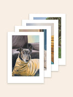 A set of four art prints by Elliott Fox fanned out on a light beige background. Each of the prints features a portrait of a greyhound from Diva, Bohemond, Orville, Winston and Bernard's family.