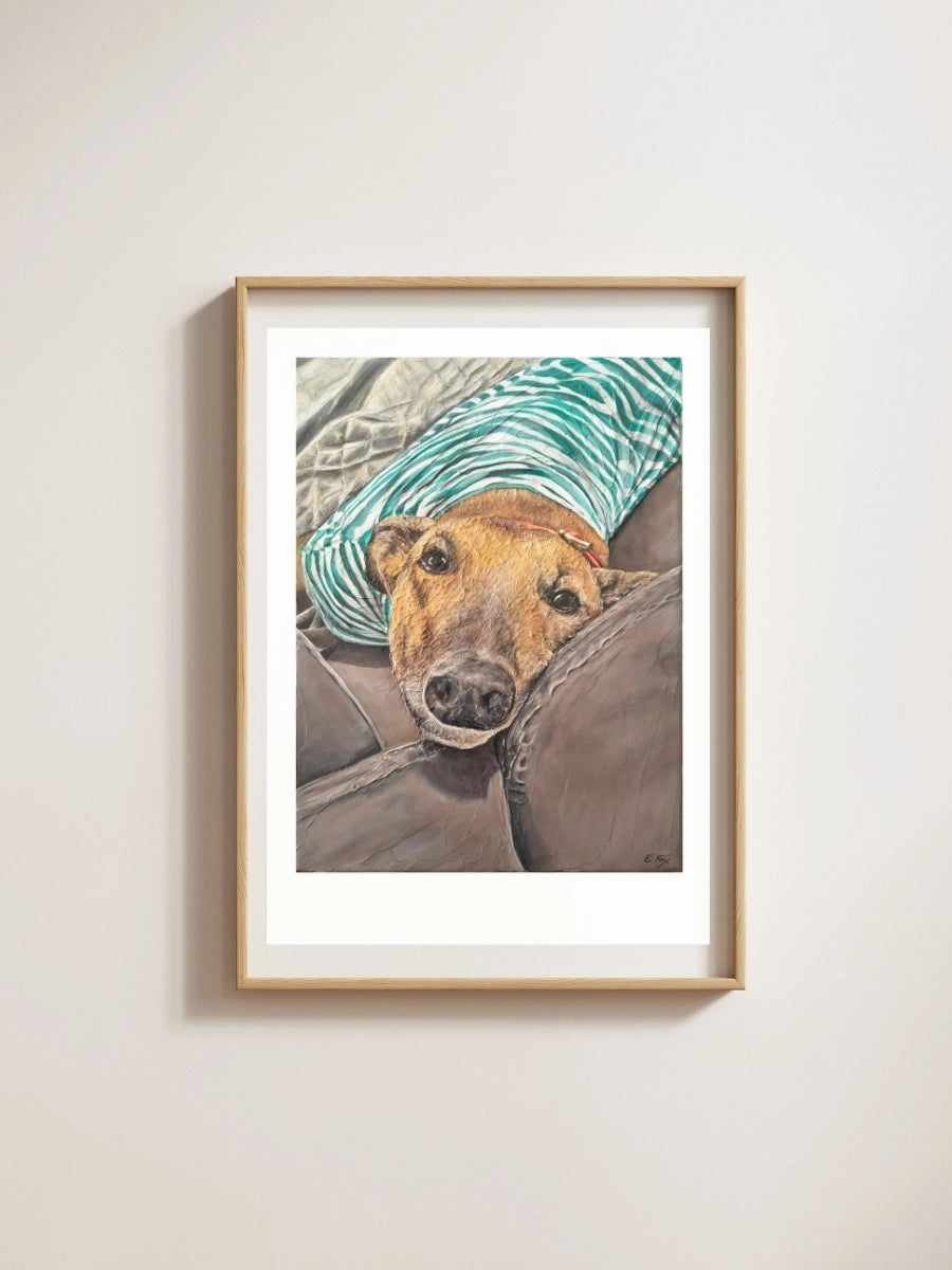 A framed pet portrait print of Bruce the greyhound as painted by Elliott Fox. Bruce is a fawn dog wearing a striped shirt as he lays on the couch.
