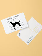 Anatomy of a Greyhound Postcard