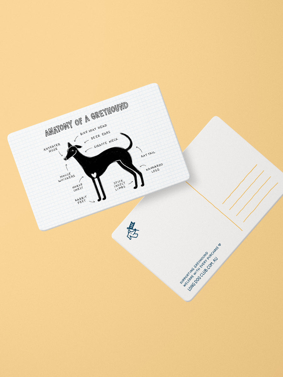 Anatomy of a Greyhound Postcard