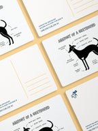 Anatomy of a Greyhound Postcard