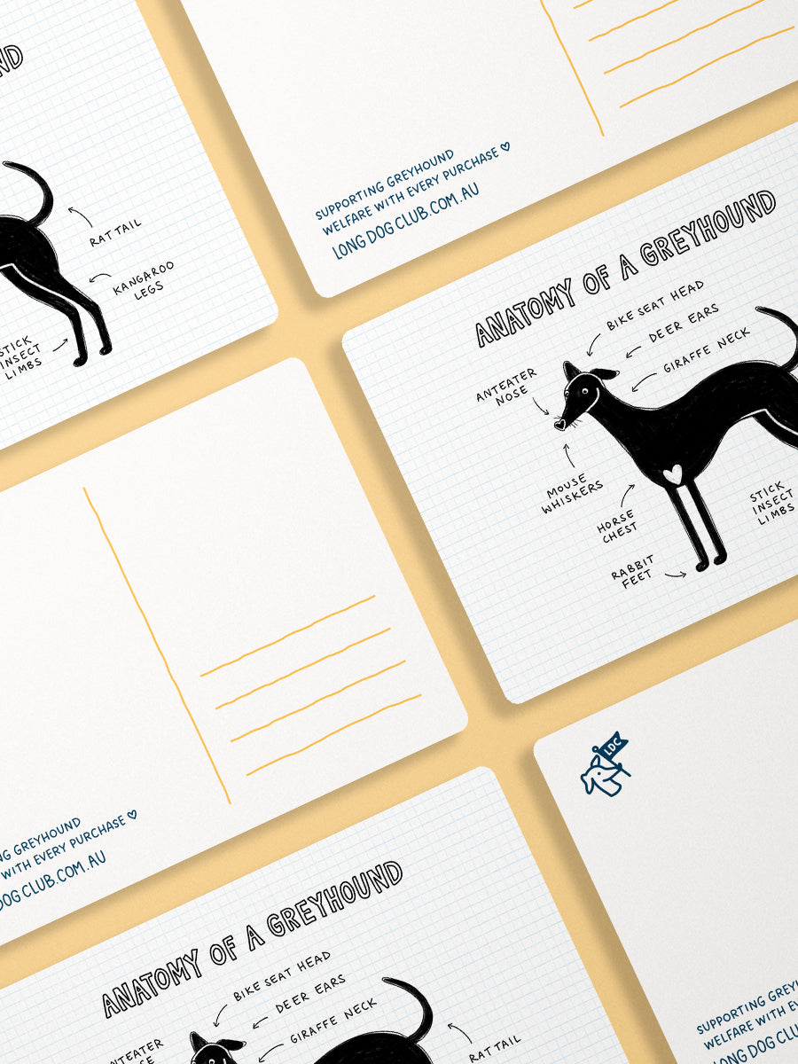 Anatomy of a Greyhound Postcard