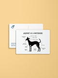 Anatomy of a Greyhound Postcard
