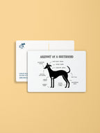 Anatomy of a Greyhound Postcard